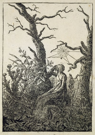 The Woman with a Spider